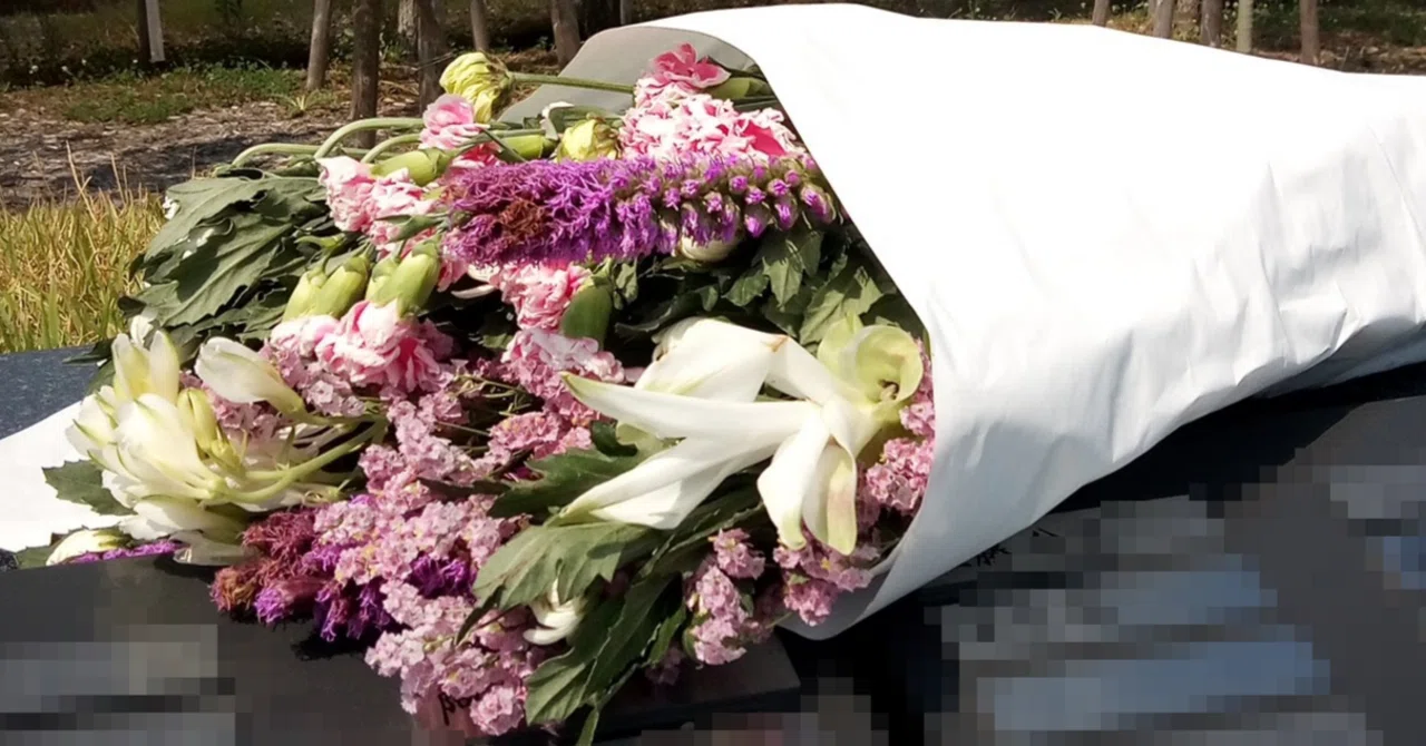 廃墟と震災遺構のはざまで―旧門脇小学校校舎、そして私の11年｜かろ