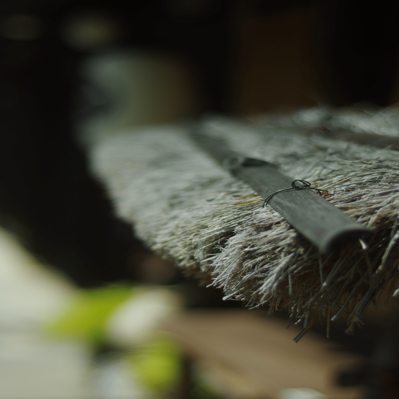 F1.2の穴場？】500円大口径レンズの実力とは(COSINA MC 55mm F1.2