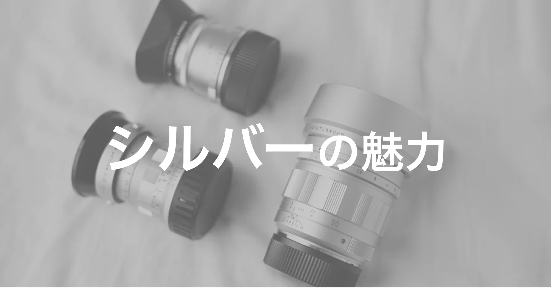 僕の防湿庫にはシルバーレンズしかない｜sadasue