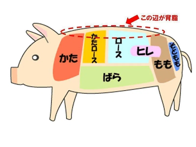 背脂・・・?、皮脂・・・?|inosisiramen