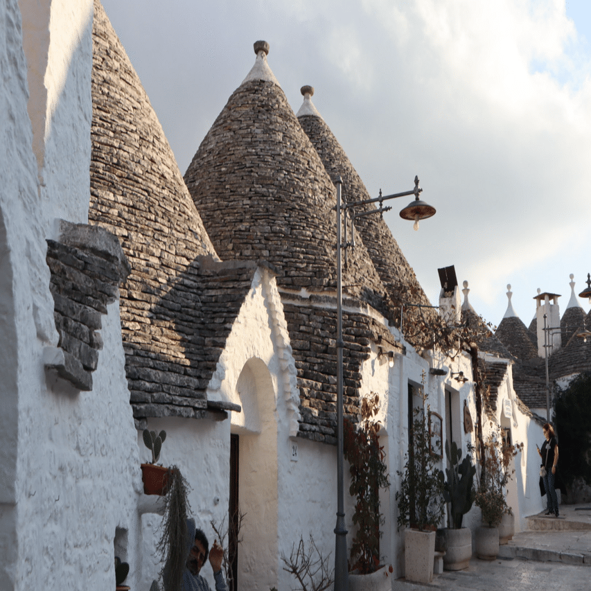 三角屋根を歩く猫、アルベロベッロ (古代ローマの遺跡とプーリア州を