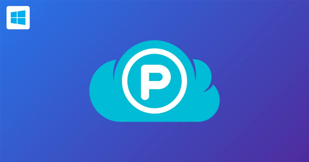 クラウドストレージなのに買い切りプランが用意されているpCloudを購入 