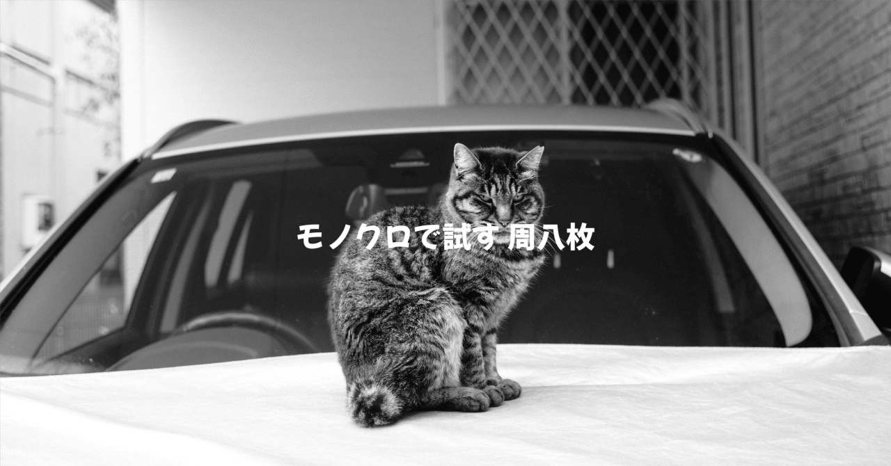 ライトレンズラボ「周八枚」-モノクロ表現の可能性-｜村田雄平