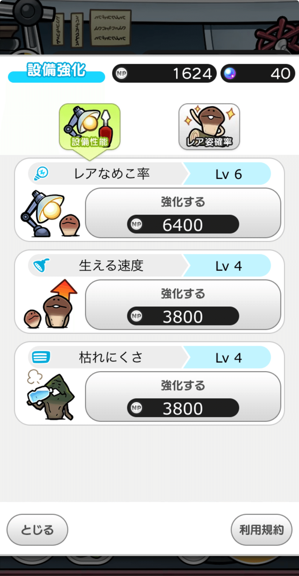 みんなのなめこ栽培キット 始めてみた｜もも