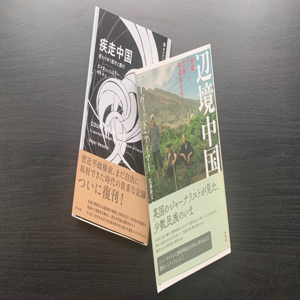 現代の中国を巡る紀行ノンフィクション2冊｜金子浩久書店