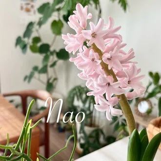 nao