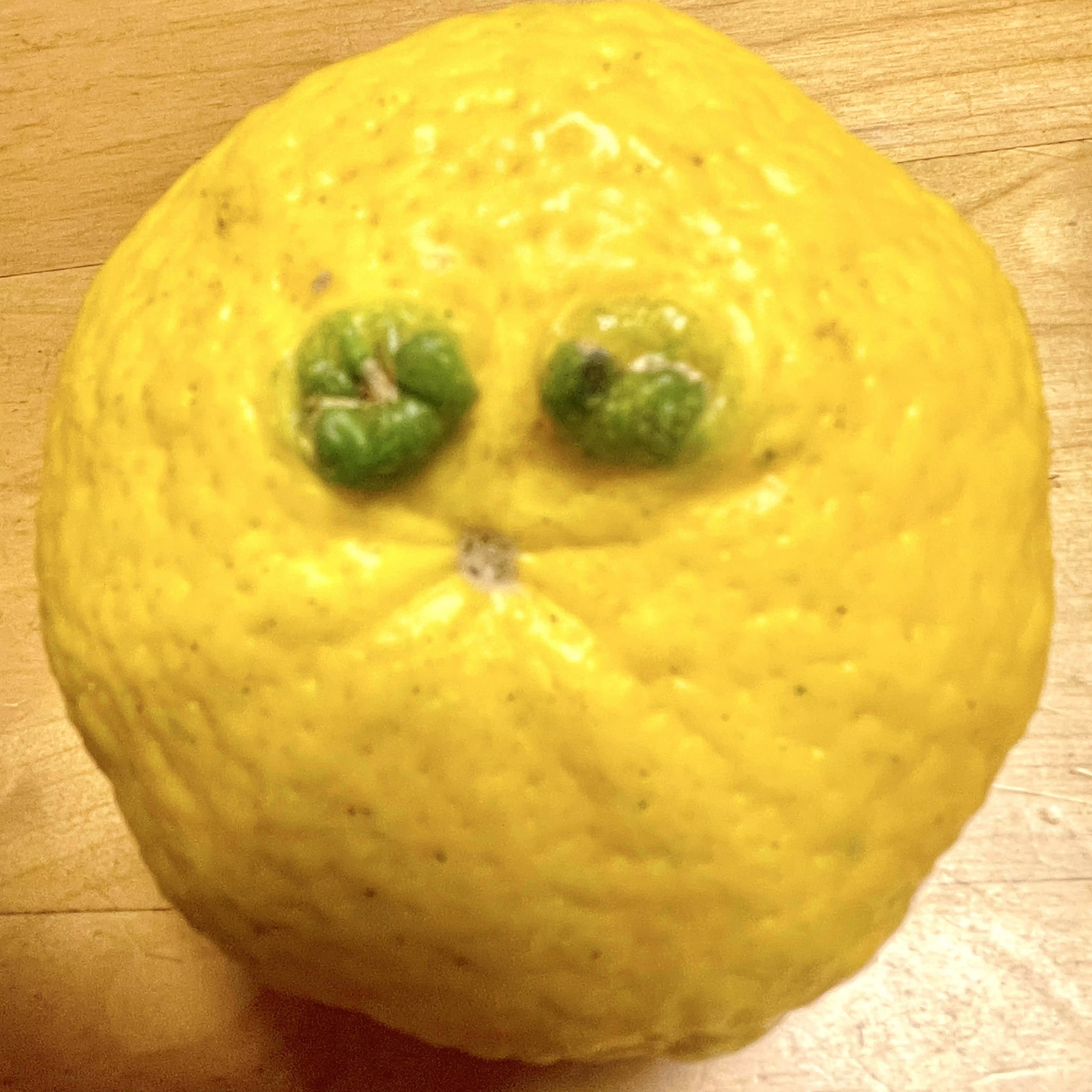 コウチ