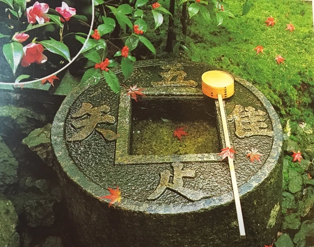世界遺産・龍安寺石庭の謎かけ。と、迫力のご朱印。｜でぃーぷ ☆ パーポー