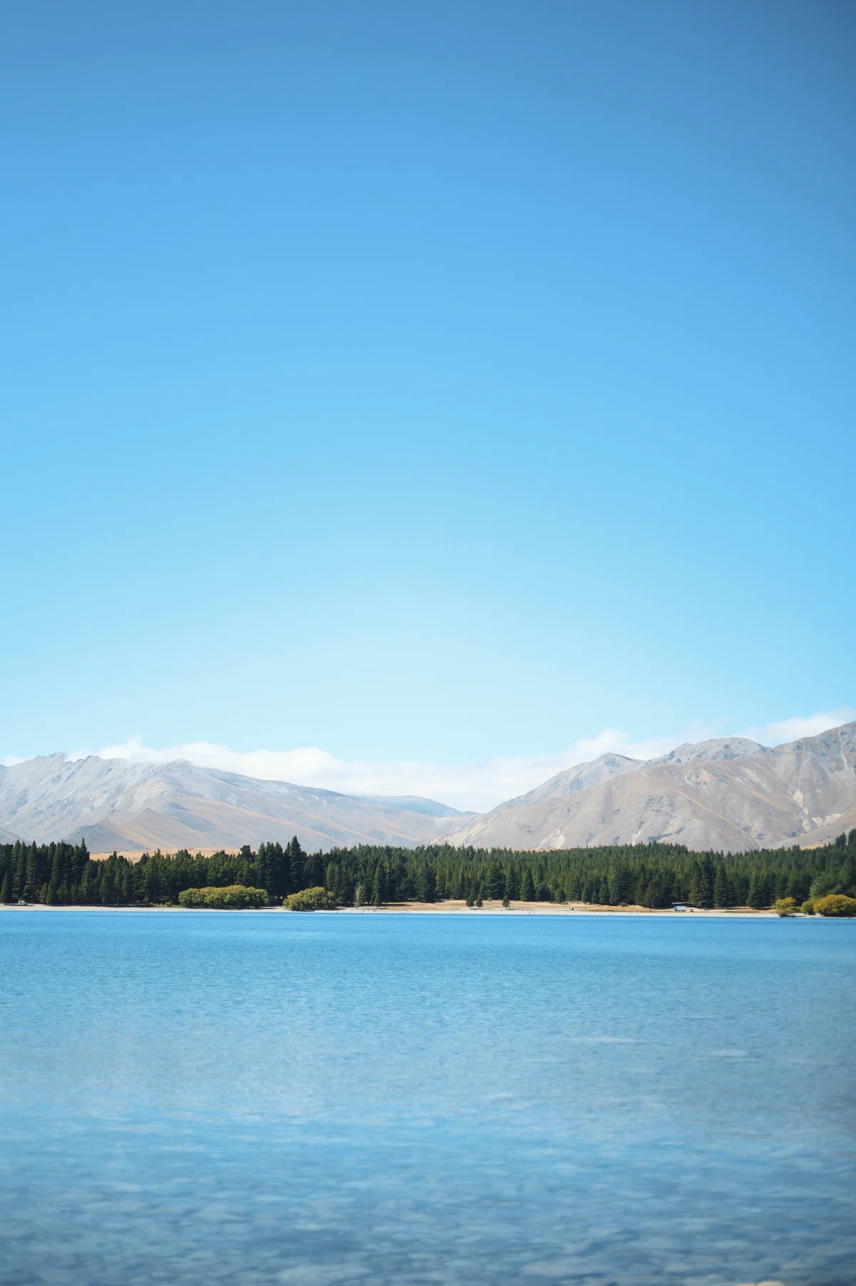 ニュージーランドで全てを忘れる一人旅🇳🇿 [卒業旅行・ワーケーション