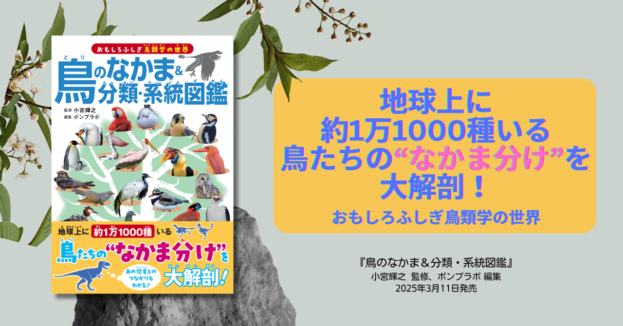 鳥たちの“なかま分け”を大解剖！『鳥のなかま＆分類・系統図鑑』が3月