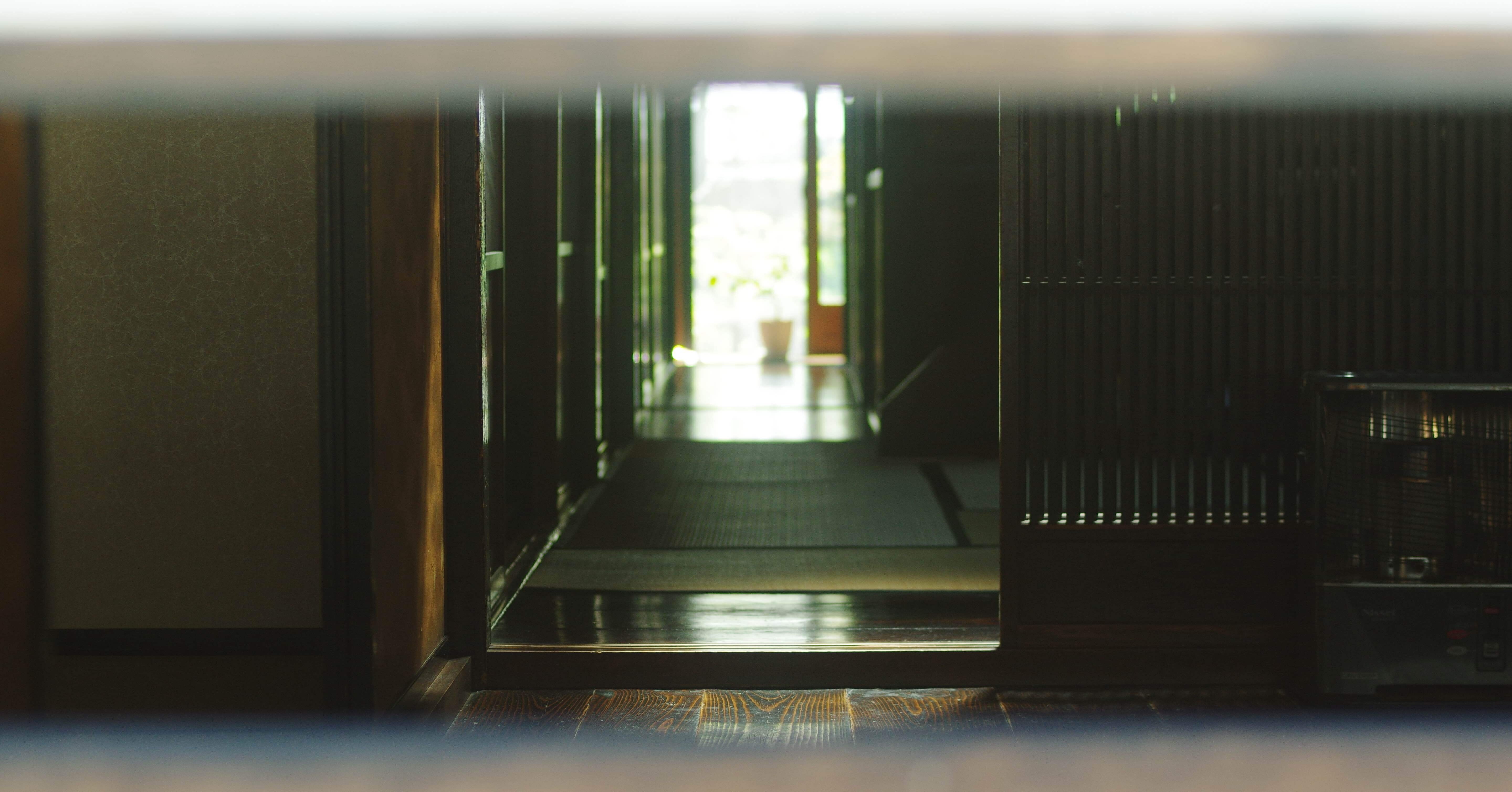 F1.2の穴場？】500円大口径レンズの実力とは(COSINA MC 55mm F1.2