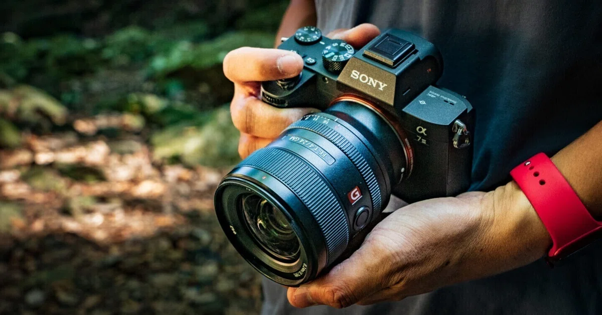 α7iii ズームレンズキット ILCE-7M3K sigma artレンズ（SIGMA(シグマ 
