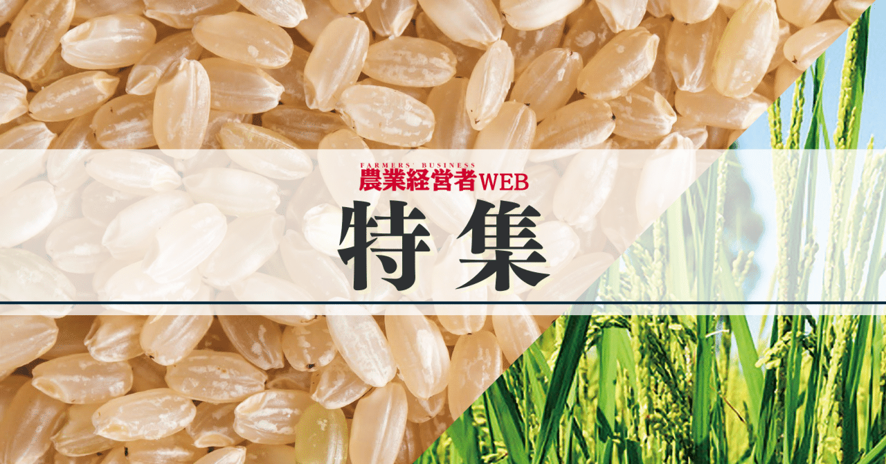 コメ転換期 「令和の米騒動」を越えて【特集】2024年11月｜農業経営者Web