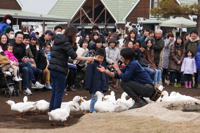 デートでマザー牧場に行ってきた 女性目線から見た魅力とは アラサー女性 Note