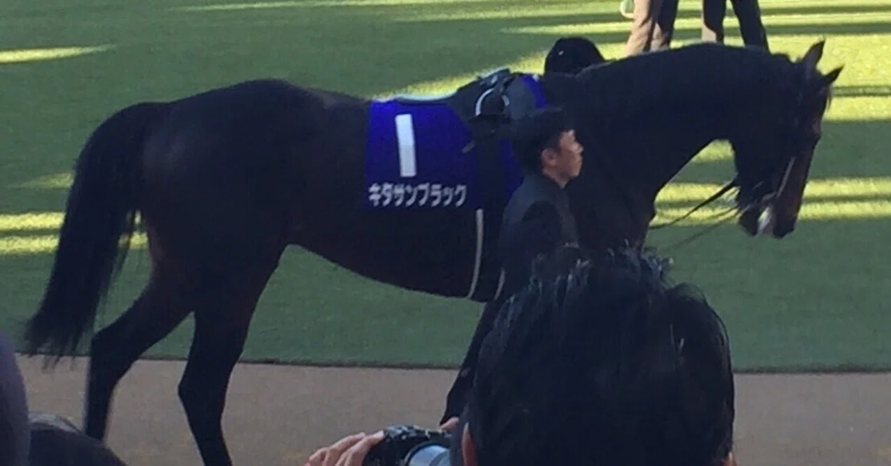 JRA］GII金鯱賞2025サイン考察②表彰式プレゼンター＆ゆうちゃ