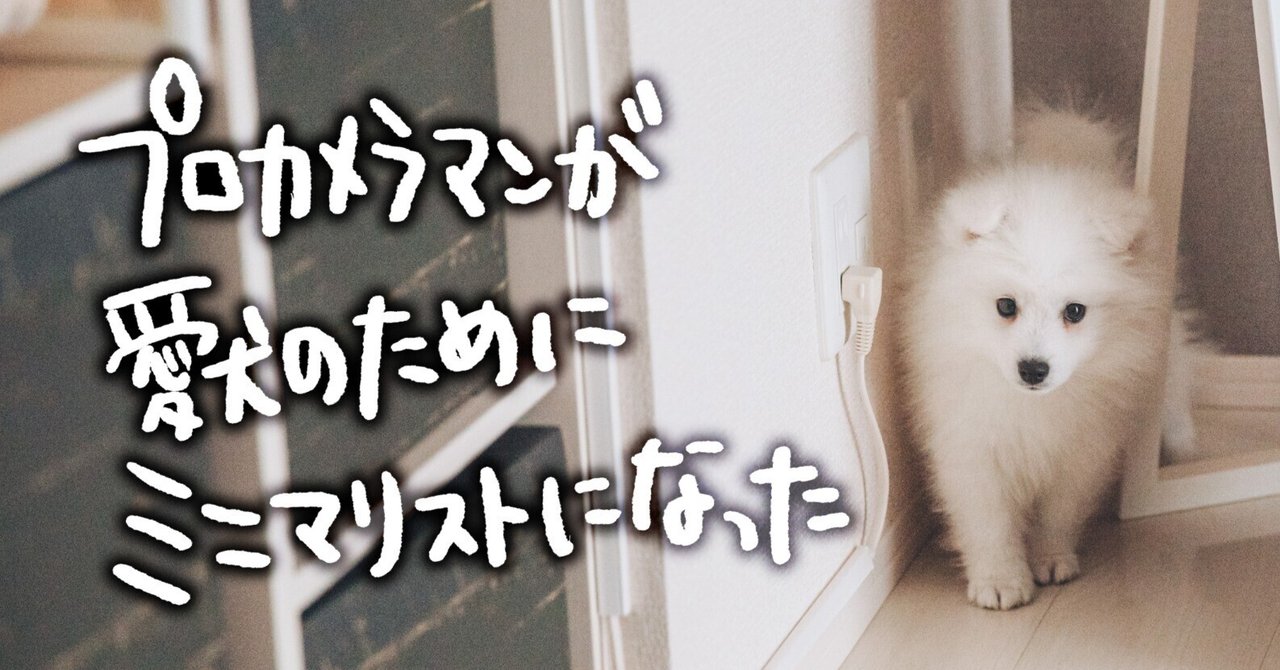 プロカメラマンが愛犬のためにミニマリストになった note__eyecatch