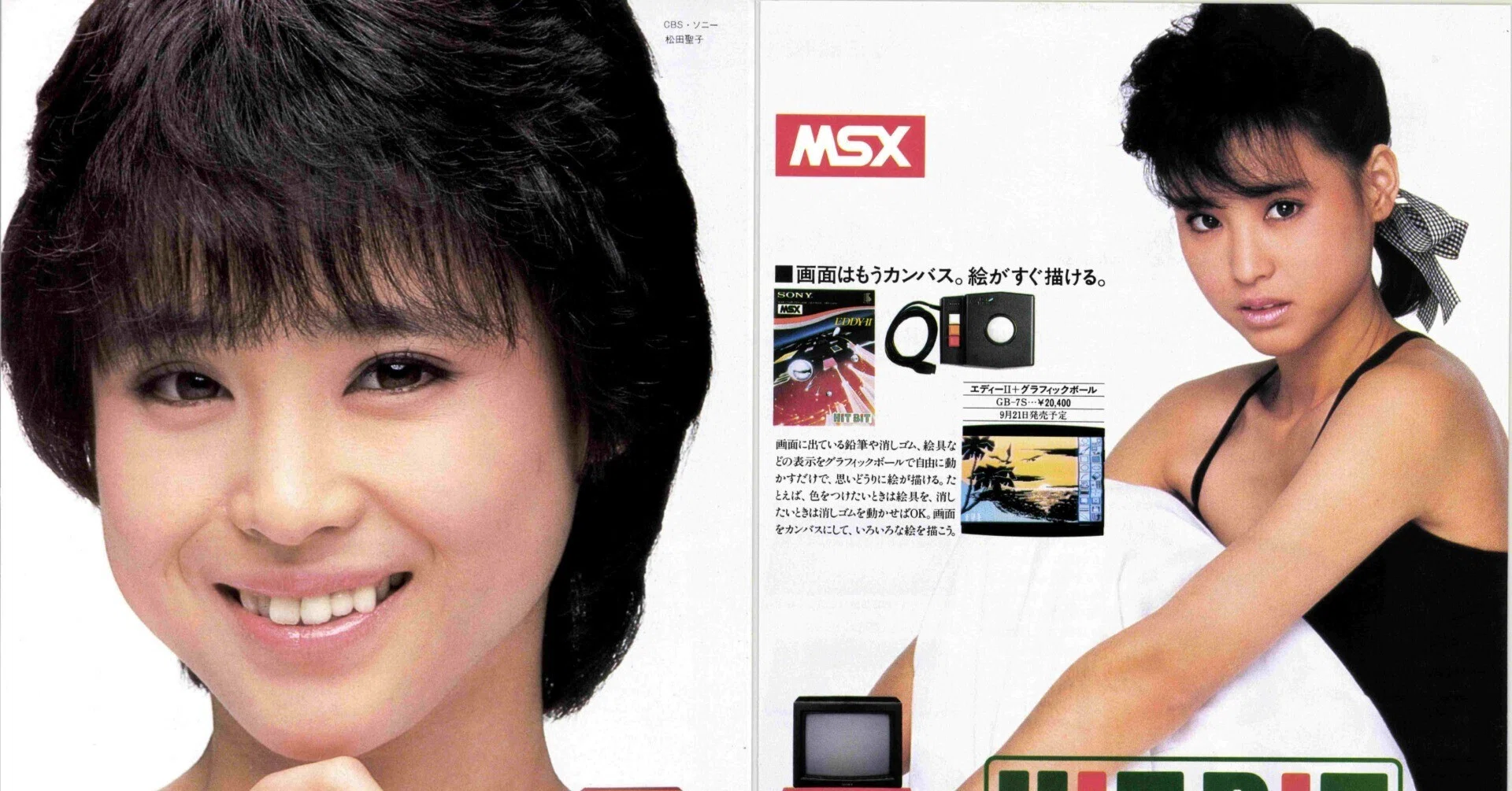 松田聖子さんA3上質ケント MSX美少女図鑑①松田聖子さん・ソニーHiTBiT｜サイボーグMSX