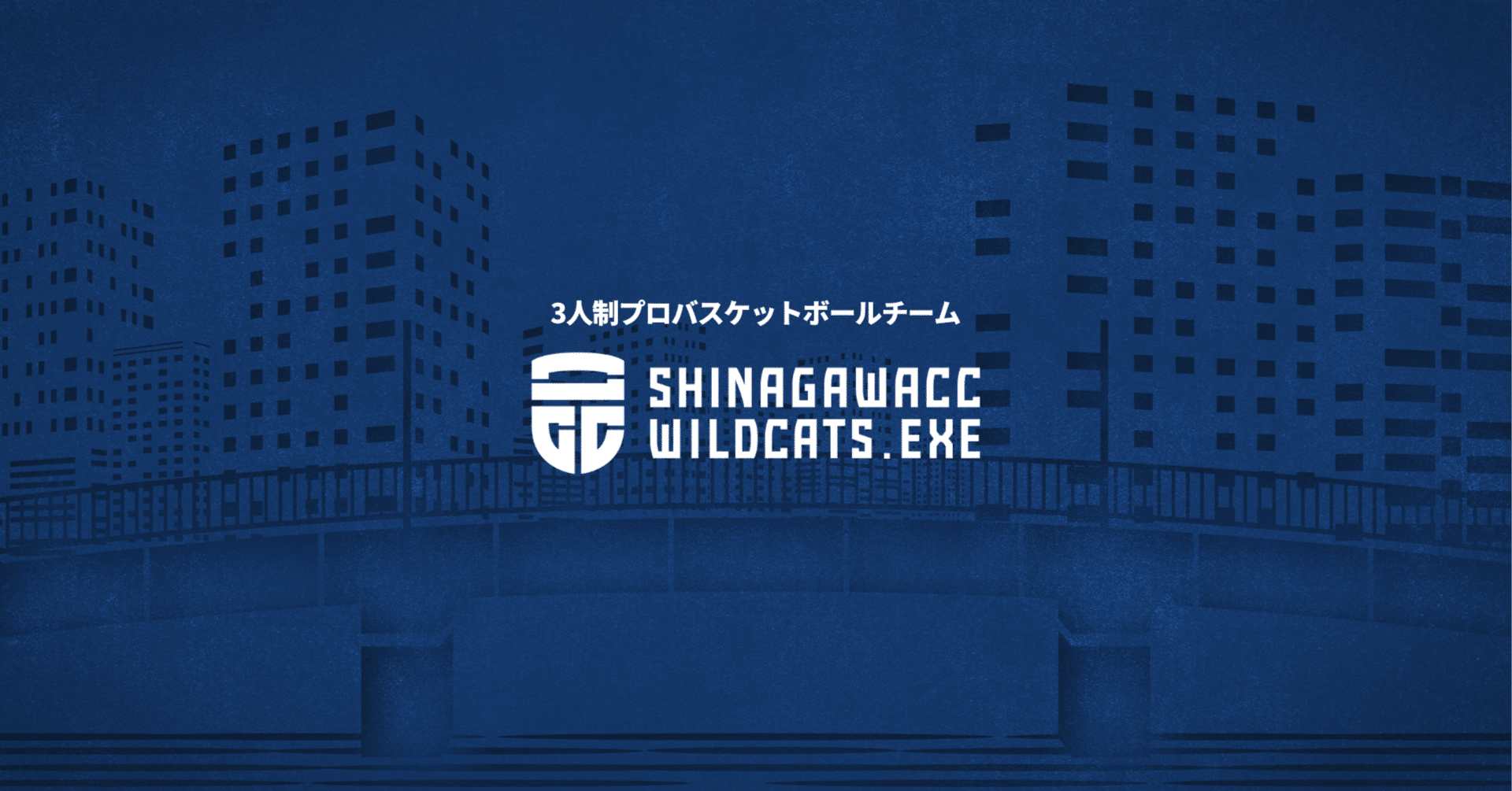 遠塚谷流 | 3人制プロバスケ 品川CCワイルドキャッツエグゼ代表