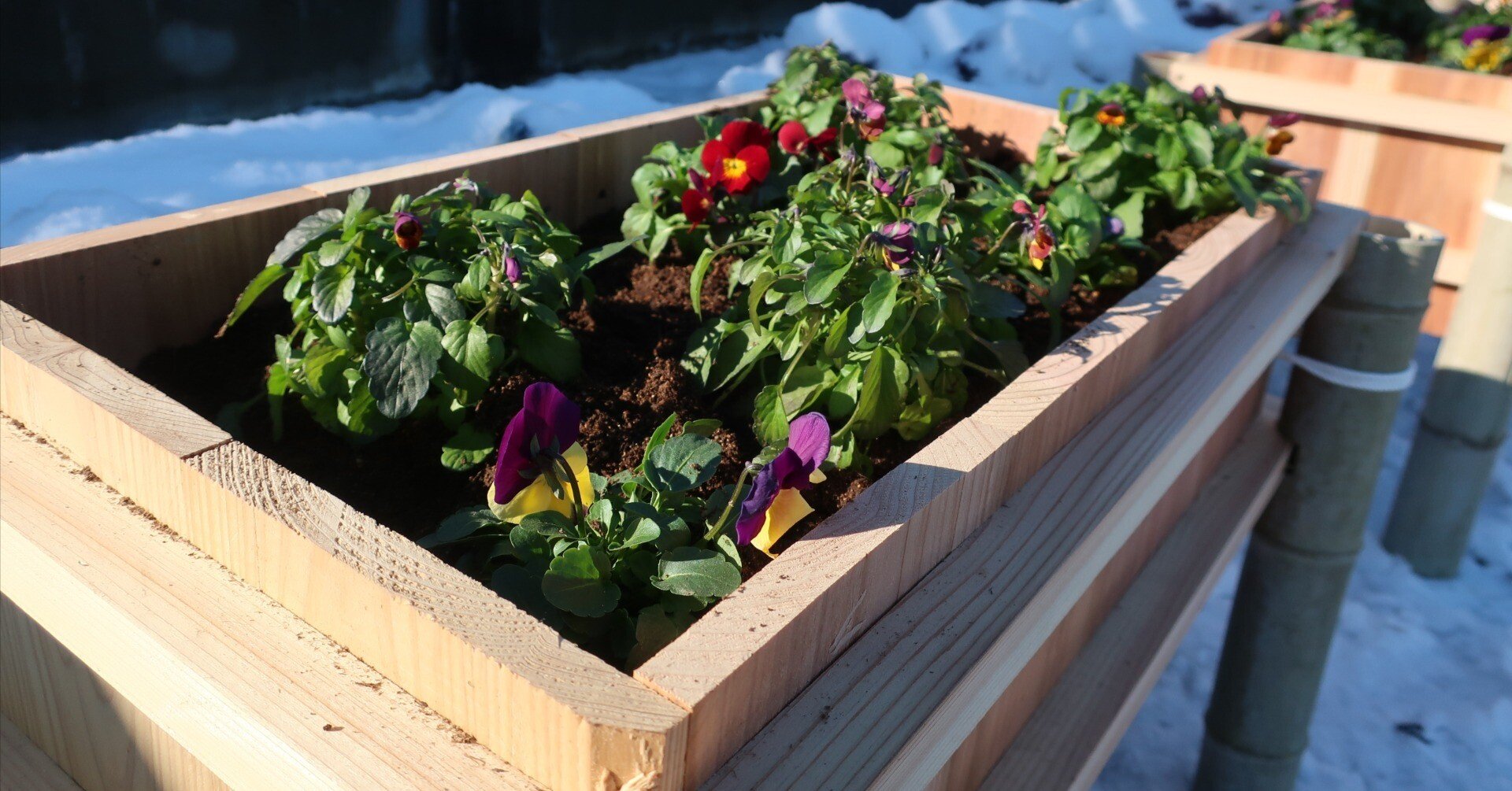 竹製プランターボックス 開催レポート／「竹プランター」づくり｜井土まちづくり情報局