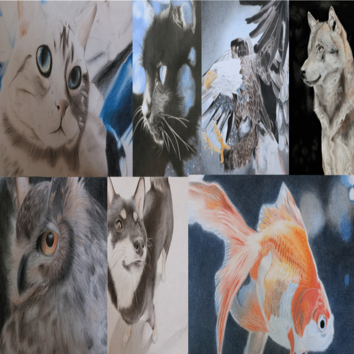 色鉛筆画]小6三月〜高一(現在)｜ふみか