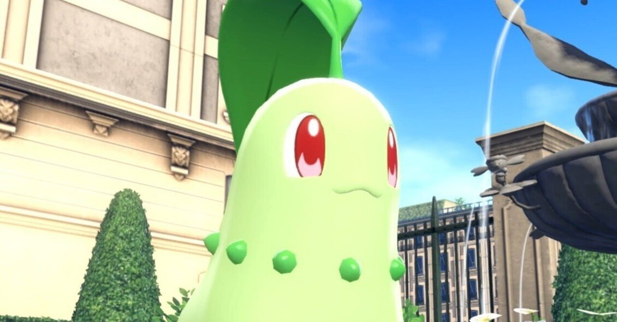 気が早い】ポケカのチコリータを予想しよう【時期尚早】｜すずのき
