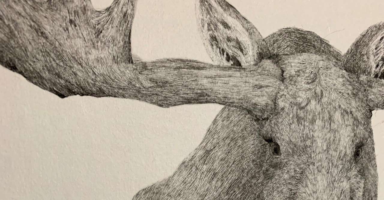 薄墨と筆 黒木リン ペン画家 Note 薄墨と筆 黒木リン ペン画家 Note