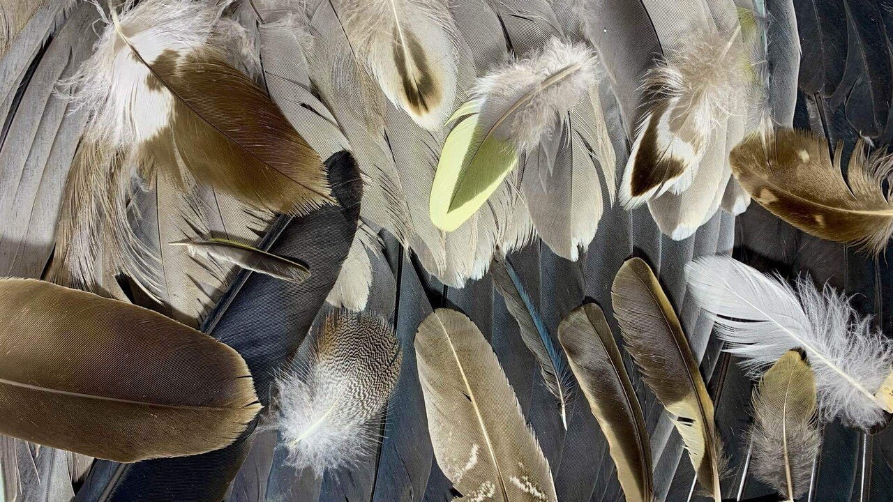 吹けば飛ぶような趣味が始まってしまった｜あおみかん