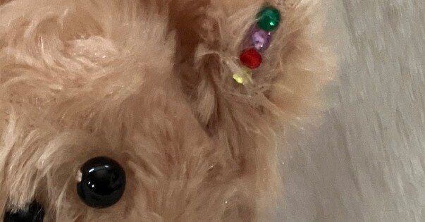 お供ぬいの話｜蜆 エル