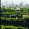 キョンリン