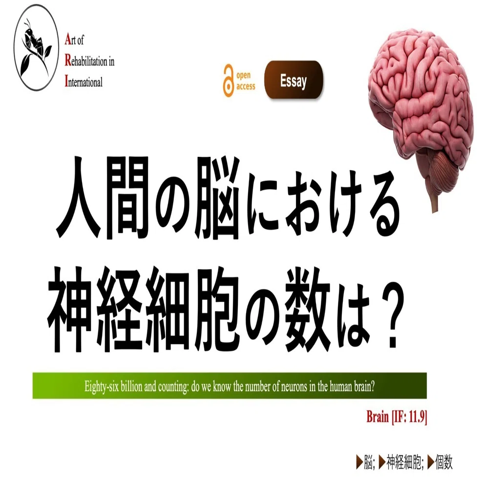 神経人間の脳
