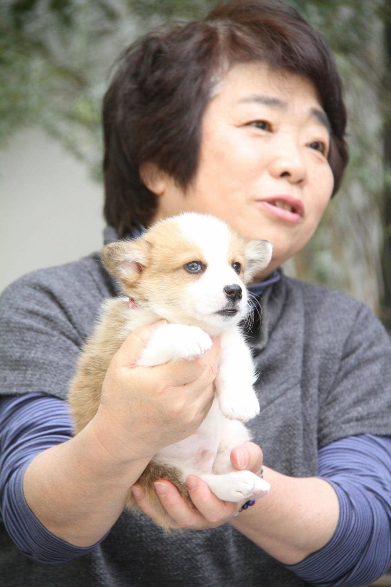 大体 大切なことは犬や猫たちと歌が教えてくれる 大久保泰介 ペットライフスタイルブランド Petokoto代表 Note 大体 大切なことは犬や猫たちと歌が教えてくれる 大久保泰介 ペットライフスタイルブランド Petokoto代表 Note