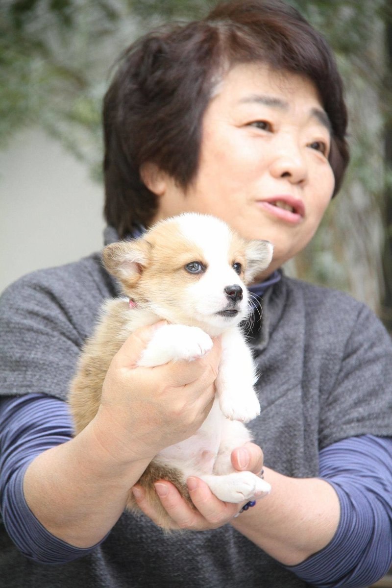 大体 大切なことは犬や猫たちと歌が教えてくれる 大久保泰介 ペットライフスタイルブランド Petokoto代表 Note