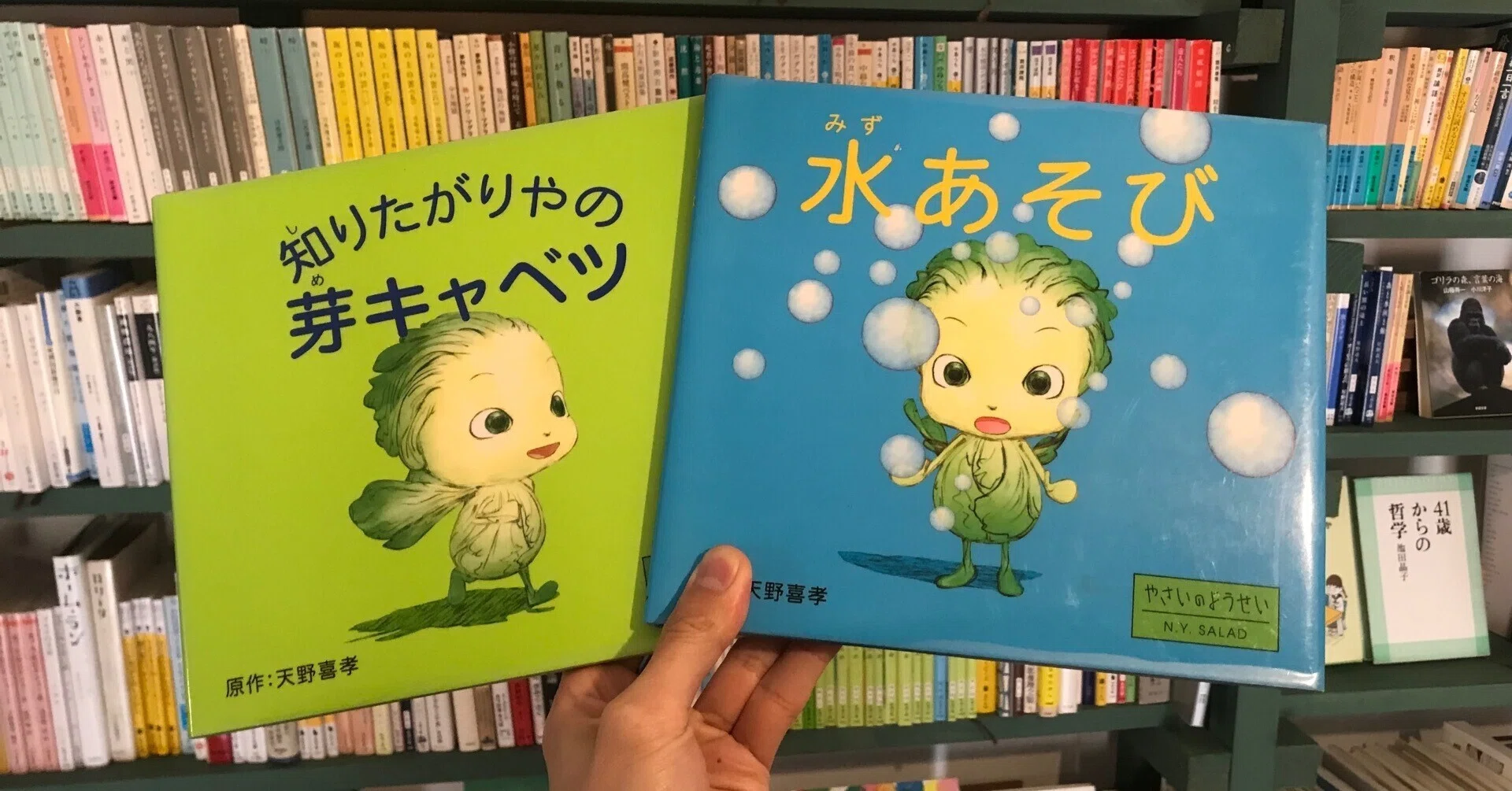 読書感想文】NHKアニメ『やさいのようせい』の絵本版 作・天野喜孝
