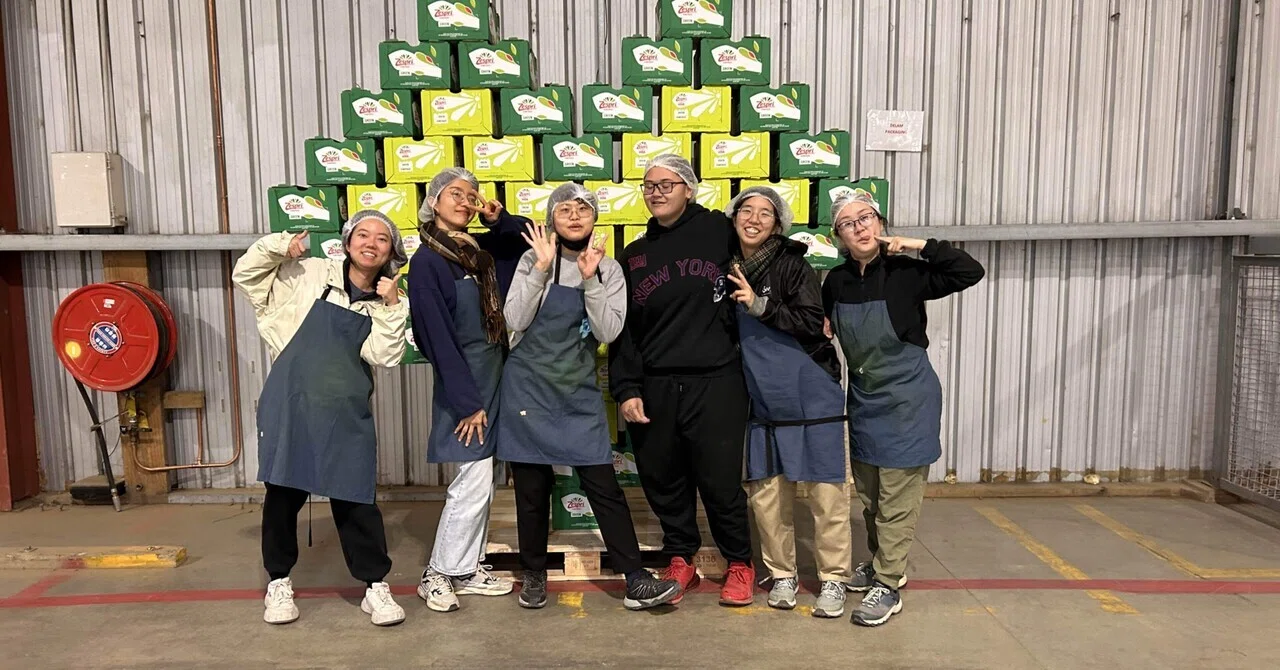 NZワーホリ 仕事探しについて（kiwi season）｜ワーホリ終わりの暮らし 