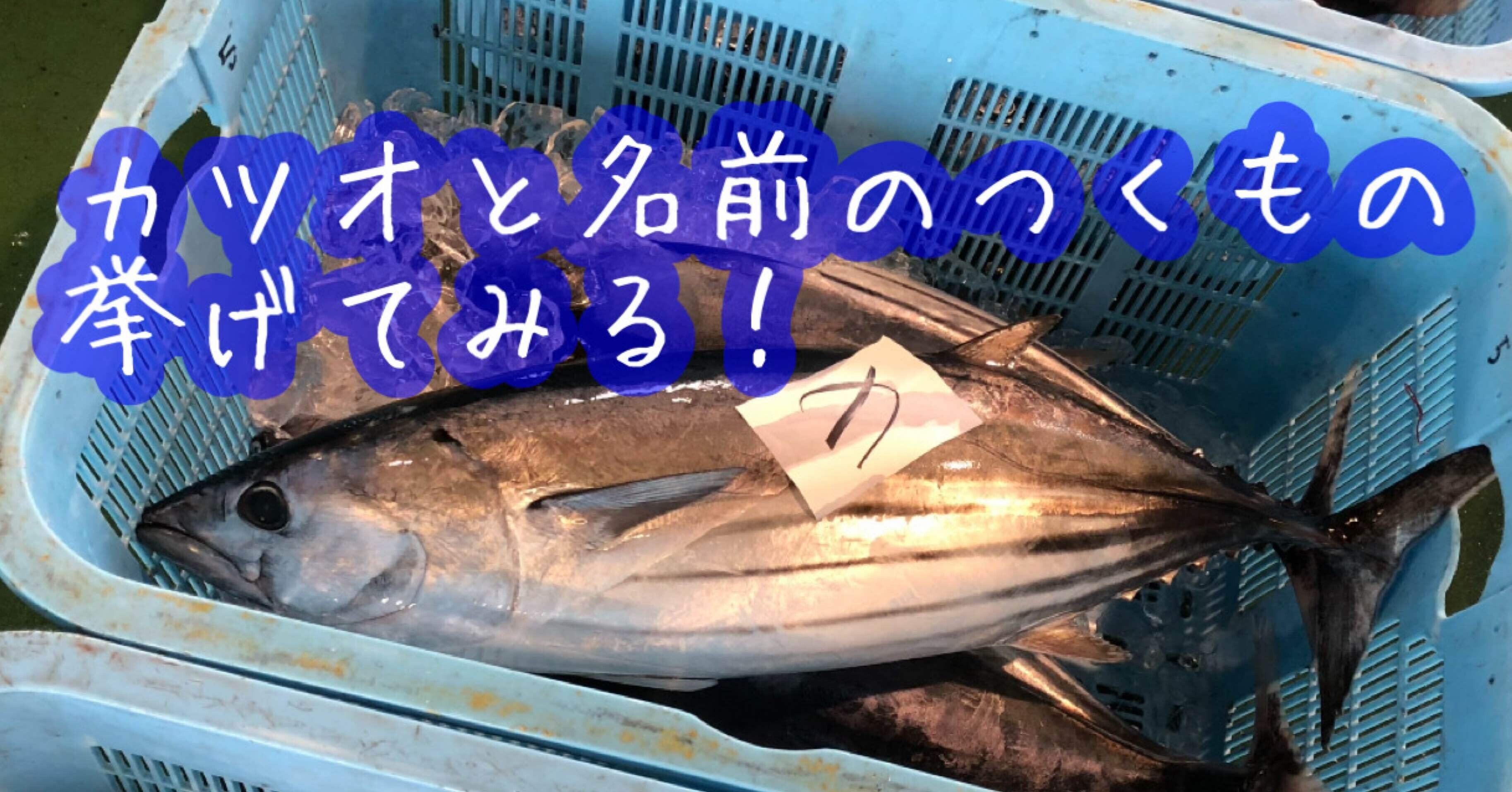 a7047347e5b52c08efd95836428c64