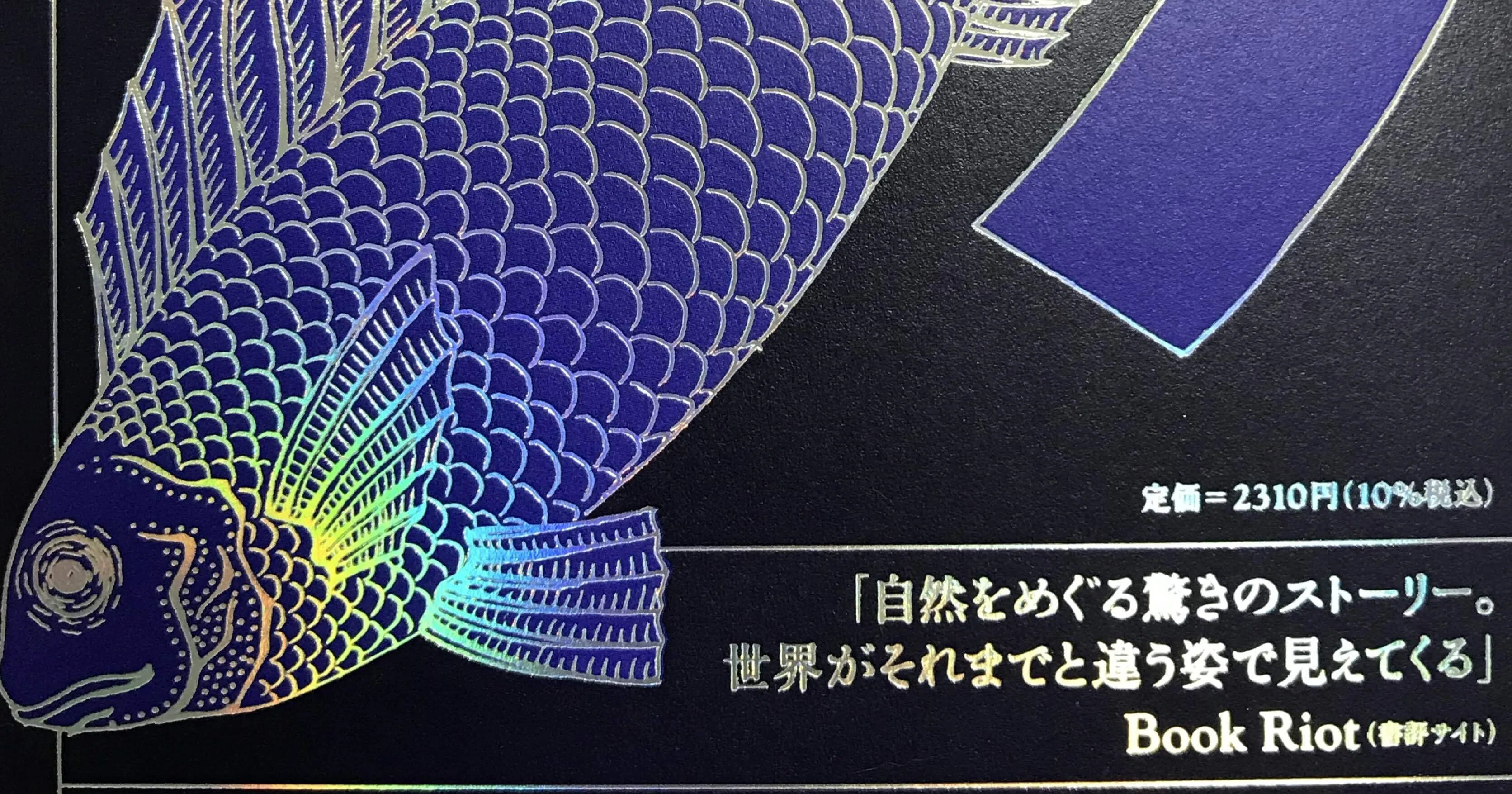 魚 作者不明 サンプル APPS-BICENTENARIO-PRD-01 マイナビ文庫美味しい 