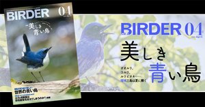 lrik　BIRDER 鳥類観察 2023.1～2024.8 BIRDER 2023年1月号～ Hobby's World｜野鳥撮影やバード