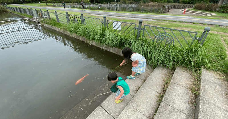 amazonレビューの日本語フィルタ よっち note