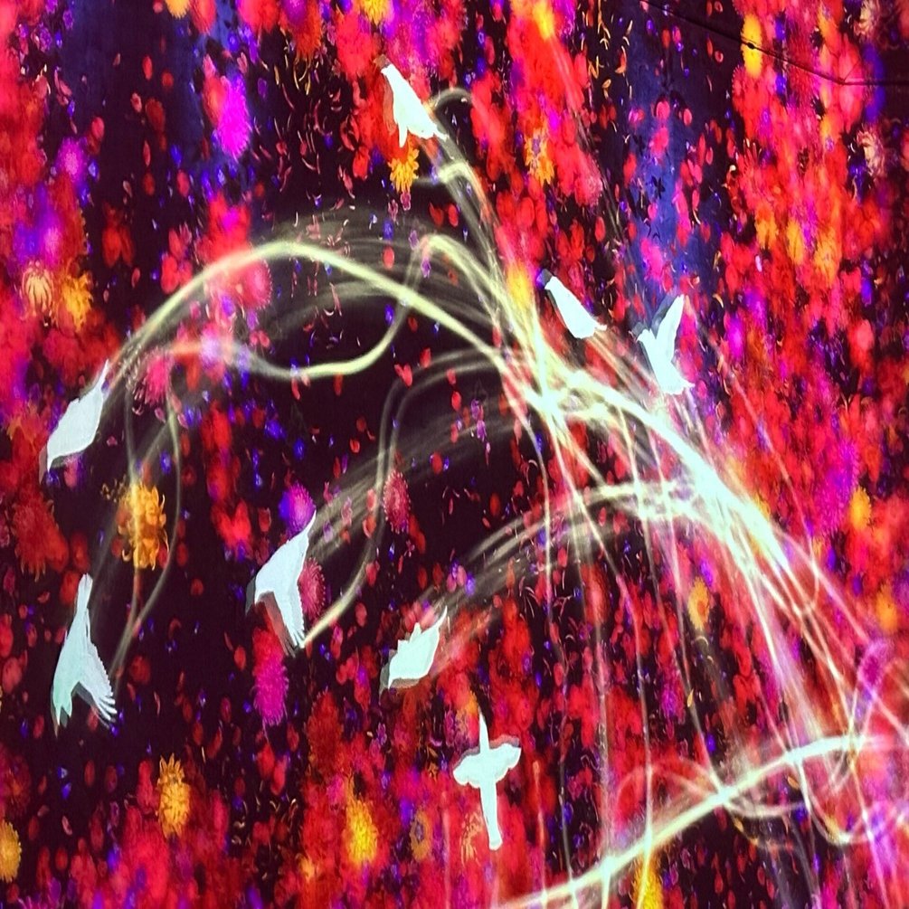 イベント】「東京デジタルアート・ツアー」を実施しました｜清泉安斎ゼミ