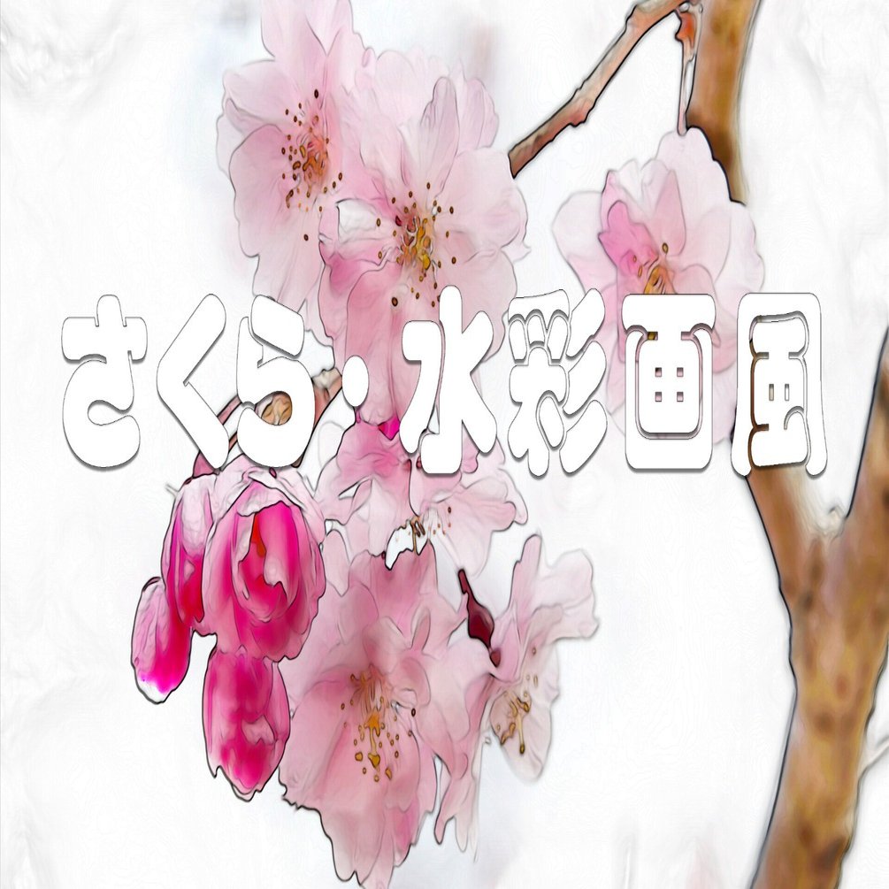 さくら（水彩画風）｜taka