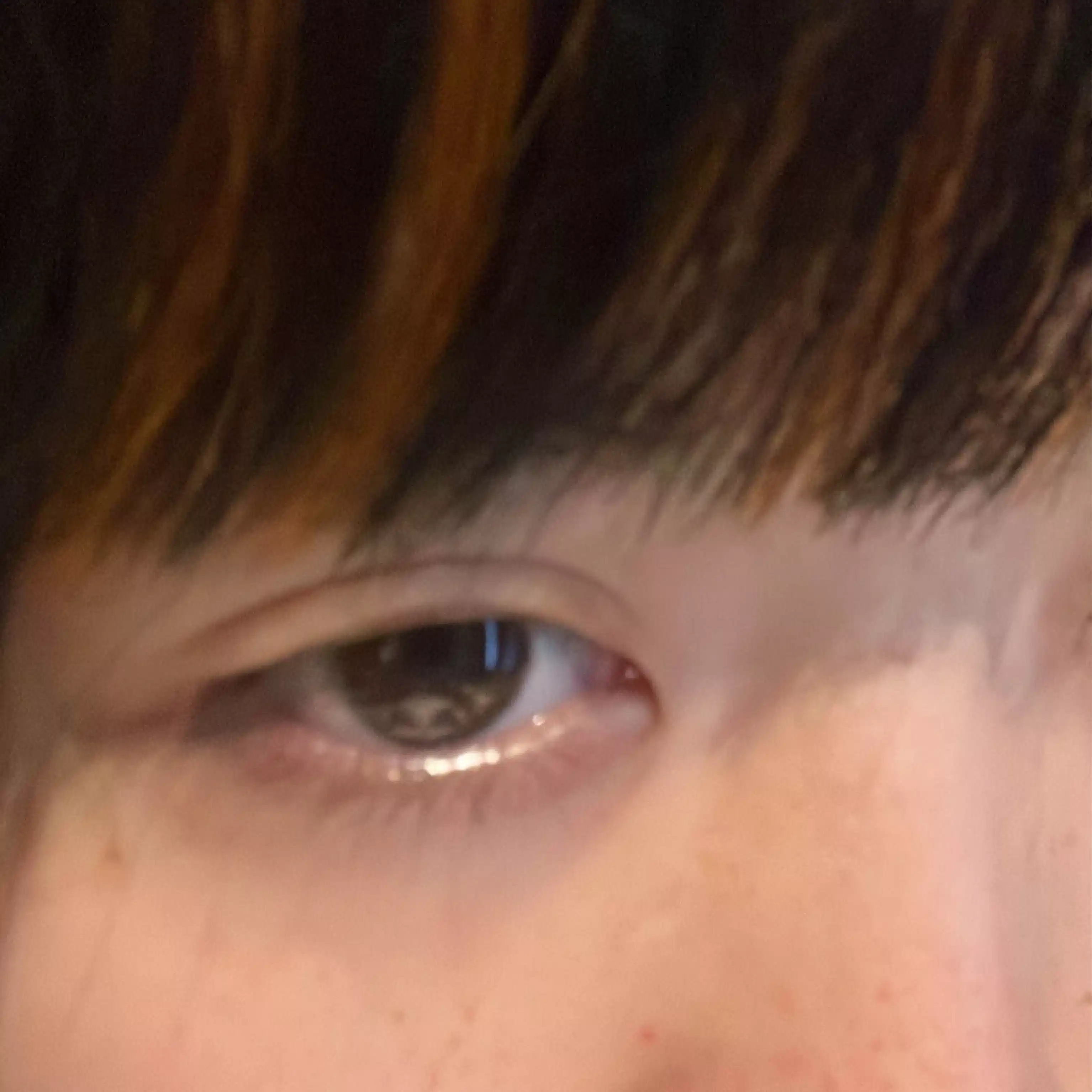 あかりぺろん