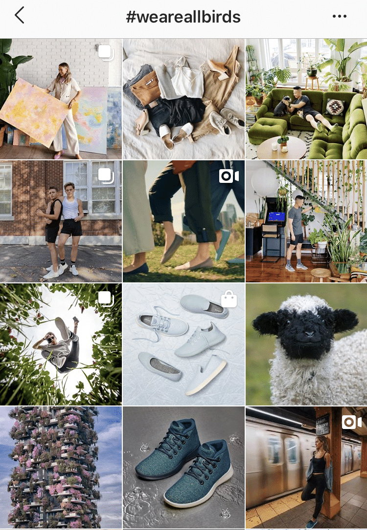 D2cブランド Allbirds オールバーズ 日本上陸 てっちゃん インスタ部 Note