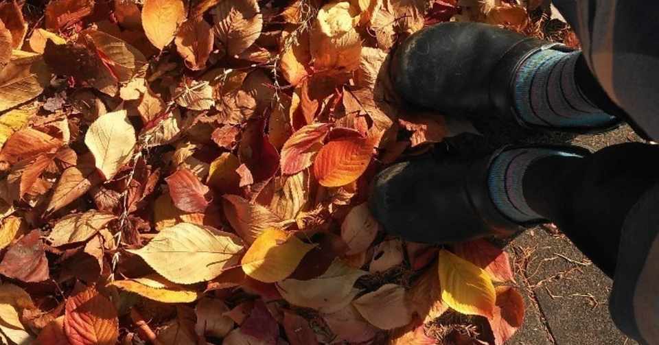 庭仕事の道具たち 2 にわぐらし Note