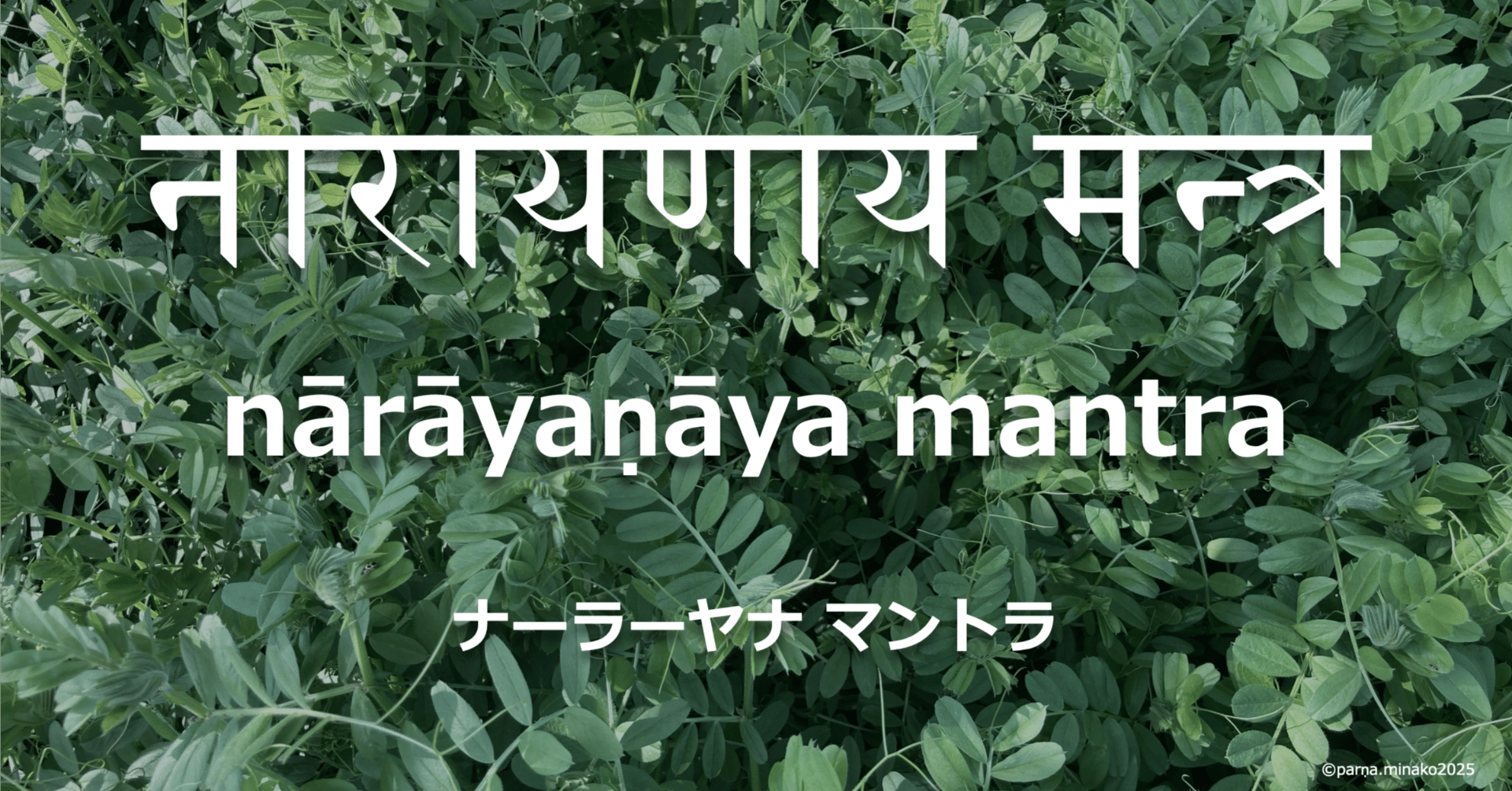 ナーラーヤナ マントラ を唱えると、｜parna_minako