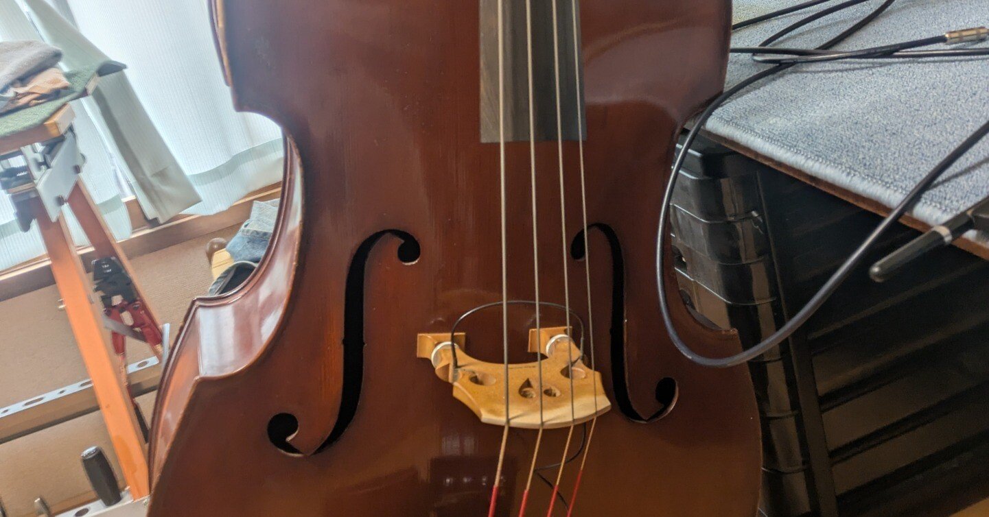 Walter E.Sandner ビオラ 弦楽器 ケース付属 R.Paesold Walter E.Sandner ビオラ 弦楽器 ケース付属 R.Paesold バイオリン