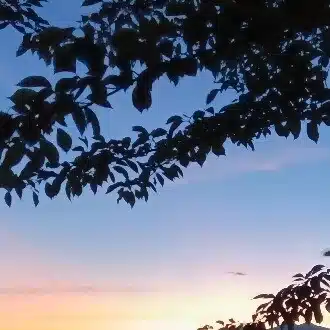 いしやきもち