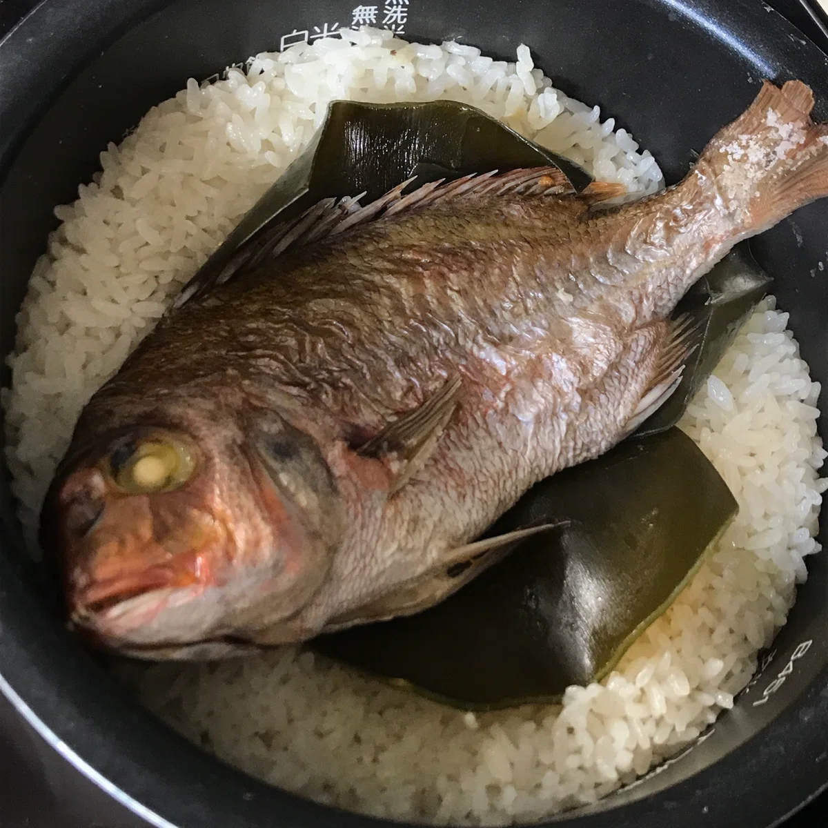 画像3