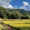 農忍者のヒトリゴト（信州木曽谷）