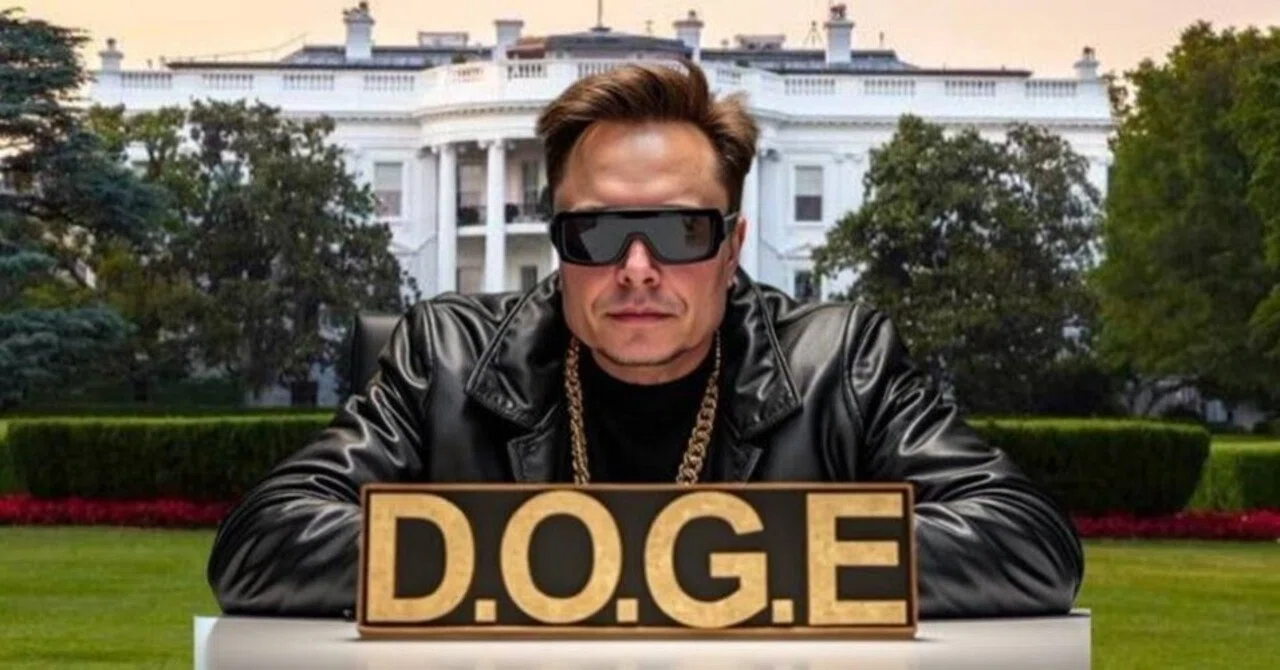 DOGEの仕事が早い理由：DOGEの前身は＂米国デジタルサービス＂｜pekere lera