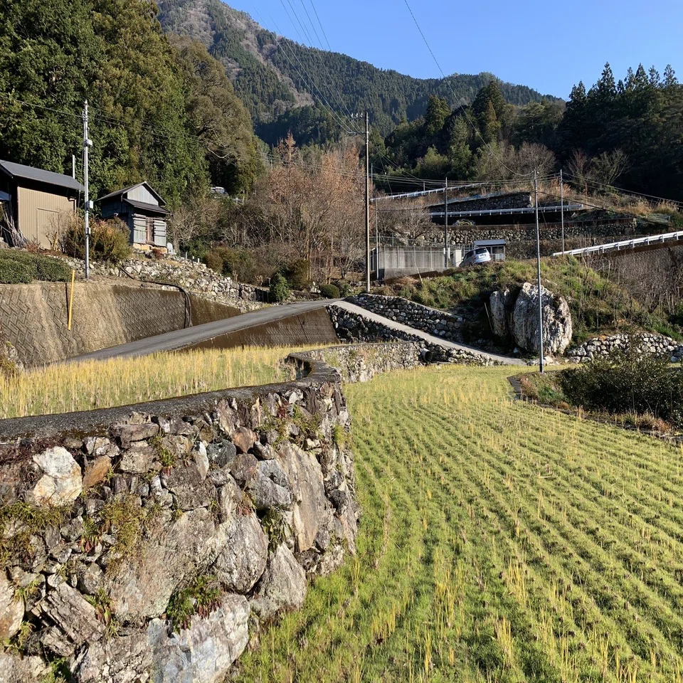 高知の里山で庭を考える｜平屋私庭日記#35｜ライツ社